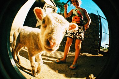 Fisheye No. 2 35 mm Camera