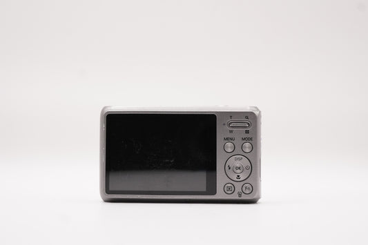 Samsung DV100