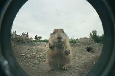 Fisheye No. 2 35 mm Camera